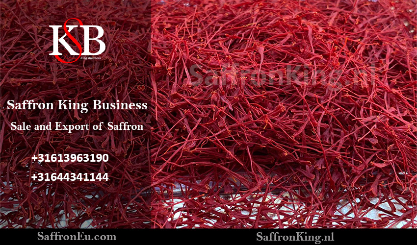 But what is the daily price of exporting saffron in Saffron King Business Company?