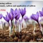 Compounds, saffron and application of saffron