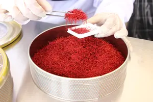 Bulk Saffron Price Reduction