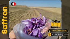 Ferme florale