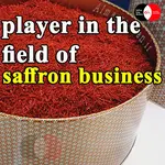 field of saffron business