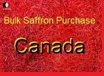 Bulk Saffron Purchase in Canada