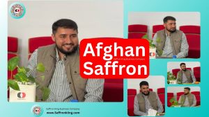 The price of Afghan saffron Europe