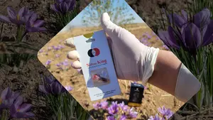 Saffron Poisoning