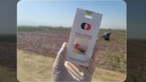 Effects of Saffron
