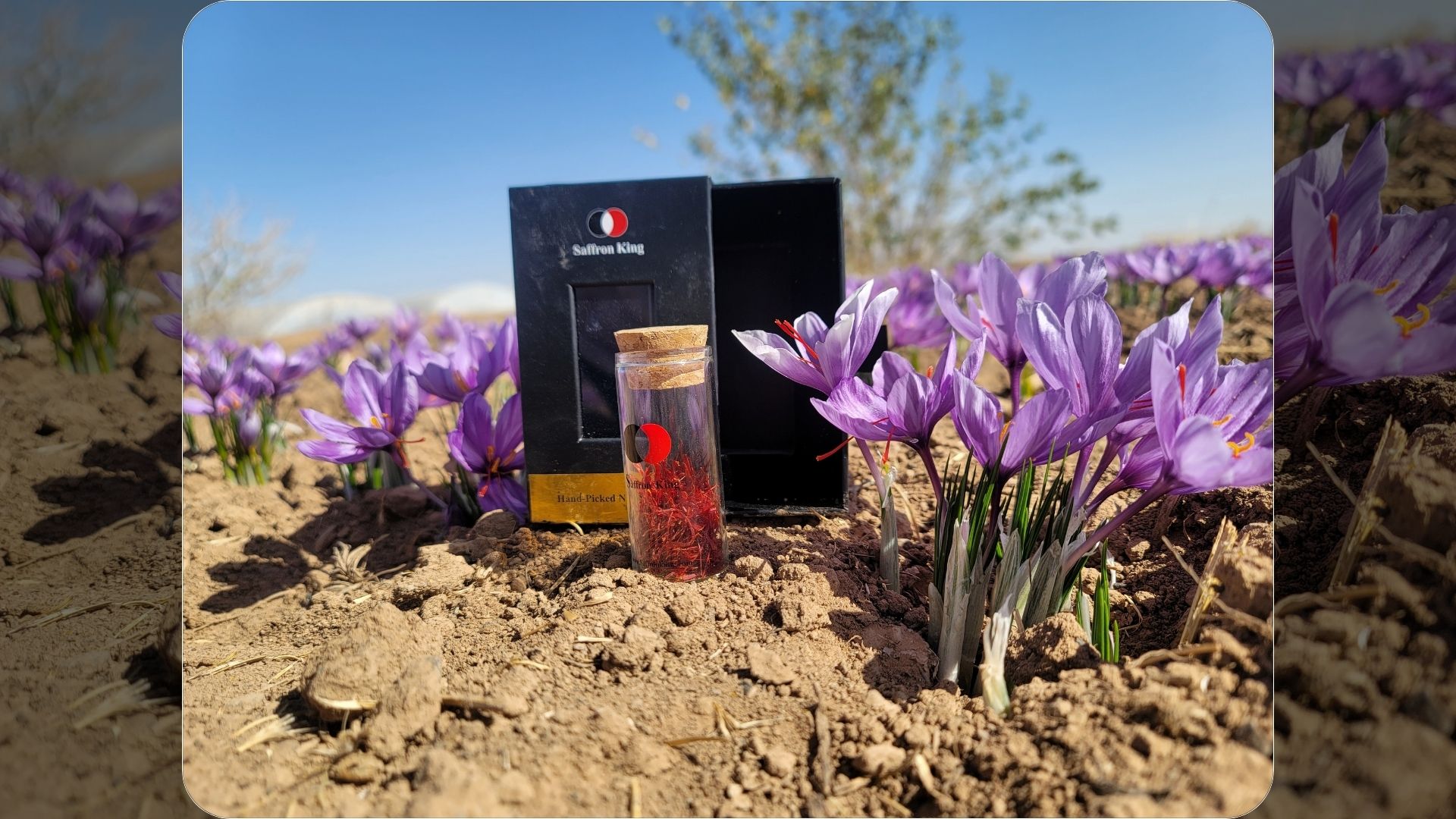 Saffron Packaging