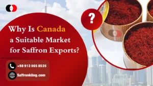 Why Is Canada a Suitable Market for Saffron Exports?