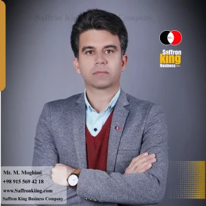 Mr. Meysam Moghimi